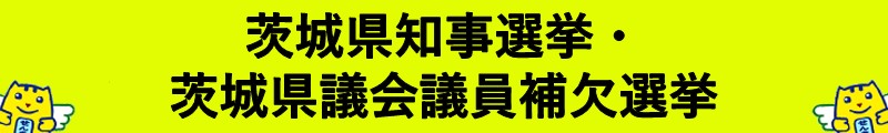 県知事選挙・補欠選挙