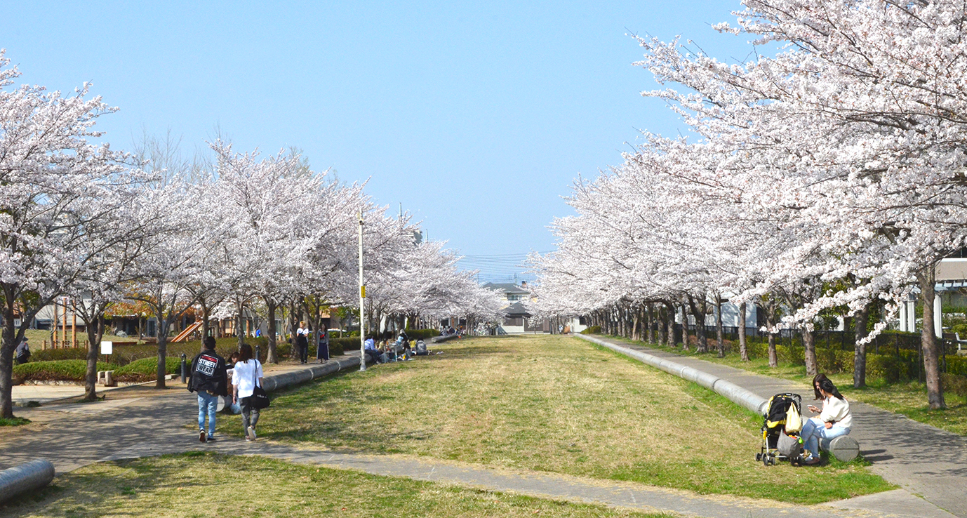 写真1