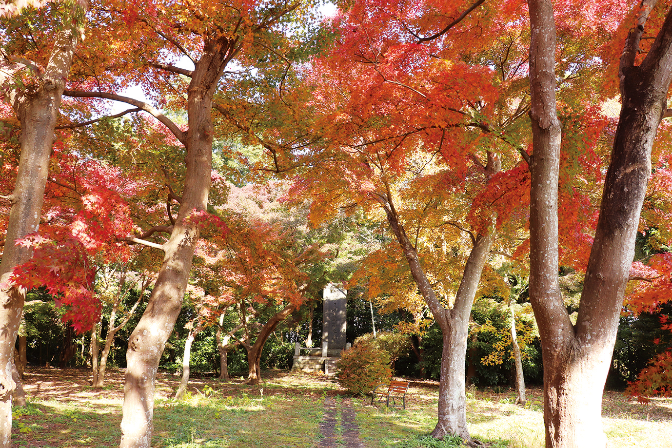 写真3
